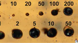 Scientists at Rice University and Oak Ridge National Laboratory used a small laser mounted to a scanning electron microscope to form dots and traces of conductive graphene on a polymer.
