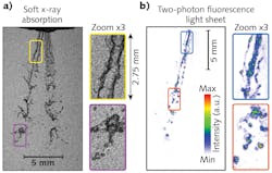 FIGURE 1. Recordings of both x-ray radiography (a) and two-photon fluorescence light-sheet (b) imaging are shown using a laser-plasma accelerator. Here, a port fuel injector is used, and the injected liquid is imaged at 850 µs after the visible start of injection. FIGURE 1. Recordings of both x-ray radiography (a) and two-photon fluorescence light-sheet (b) imaging are shown using a laser-plasma accelerator. Here, a port fuel injector is used, and the injected liquid is imaged at 850 µs after the visible start of injection.