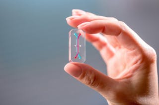 Researchers at Cedars-Sinai Medical Center used the microfluidic capabilities of an &ldquo;organ-on-a-chip&rdquo; to develop a bone-chip that can integrate into various imaging systems.