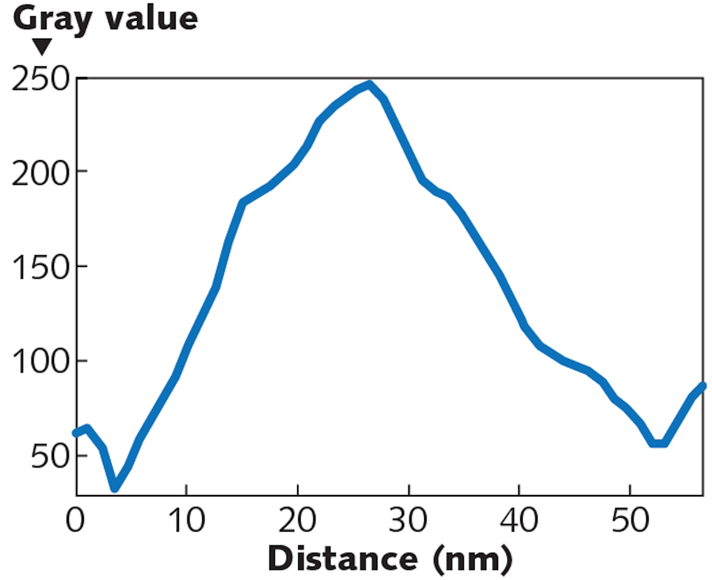 FIGURE 6. Size analysis from the MWCNT image reveals an average individual CNT diameter of 48.54 nm (edge to edge).