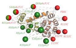 Sanabria Tech Image Sanabria Tech Image