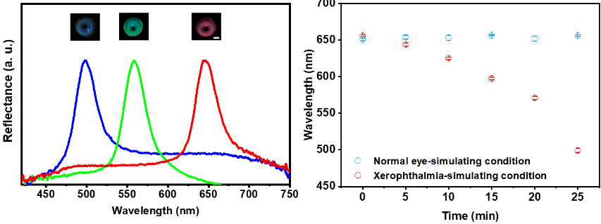 Color Changing Contact Lenses 5e67f5b9b5baa