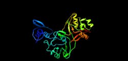 Protein 2 5e6a4c128b7b0 Protein 2 5e6a4c128b7b0
