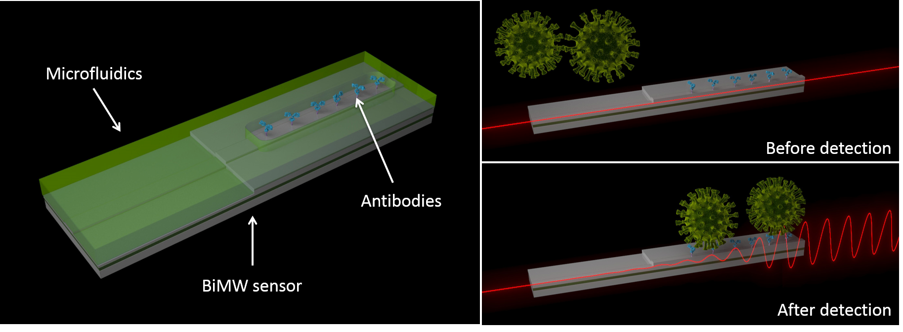 Bi Mw Convat 5e8ccde82ece4