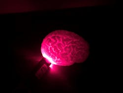 Laser Image 5e989bb55c4c9 Laser Image 5e989bb55c4c9