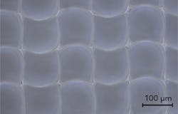 2007 Ils Pou Z06 2007 Ils Pou Z06