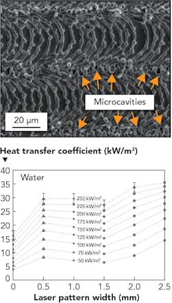 2007 Ils Pou Z08 2007 Ils Pou Z08
