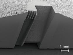 2007 Ils Rac 3 2007 Ils Rac 3