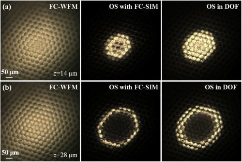 Imaging of a compound eye at different depths of (a) 14 &mu;m and (b) 28 &mu;m acquired with FC-WFM method, OS with FC-SIM method, and the OS extracted in the DOF with proposed FC-WFM-Deep, respectively.