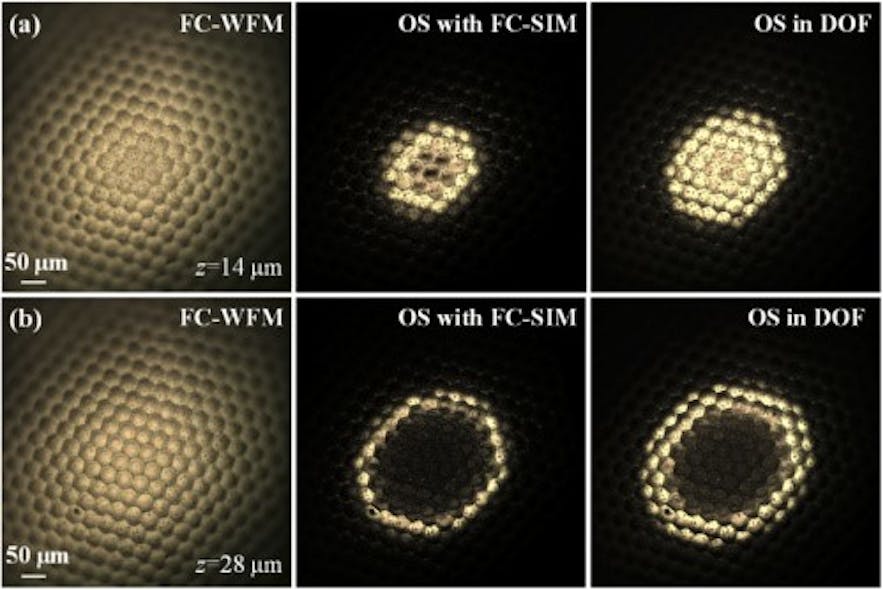 Imaging of a compound eye at different depths of (a) 14 &mu;m and (b) 28 &mu;m acquired with FC-WFM method, OS with FC-SIM method, and the OS extracted in the DOF with proposed FC-WFM-Deep, respectively.