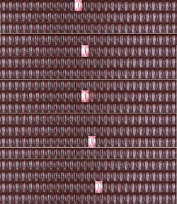 FIGURE 4. A sensitive camera operating at 10,000 frames/s captures detailed motions of a subject’s vocal cords (all images). Conventional stroboscopy captures frames at a much lower rate (bright images). FIGURE 4. A sensitive camera operating at 10,000 frames/s captures detailed motions of a subject’s vocal cords (all images). Conventional stroboscopy captures frames at a much lower rate (bright images).