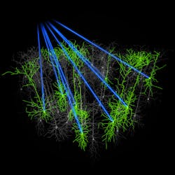 FIGURE 3. Higher power from femtosecond laser sources enables activation of multiple neurons within a population simultaneously, as shown in this artistic rendering. FIGURE 3. Higher power from femtosecond laser sources enables activation of multiple neurons within a population simultaneously, as shown in this artistic rendering.