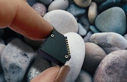 1904 Lfw Pro 1 5f21c45b715f7 1904 Lfw Pro 1 5f21c45b715f7