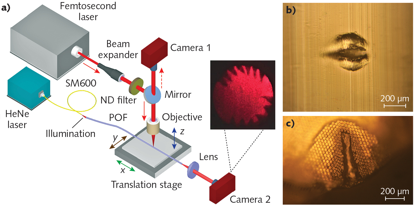 Ultrafast-laser Ablation Of Polymer Multicore Fibers Enhances ...