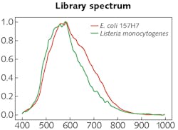 FIGURE 4. Final normalized spectral libraries for E. coli 157:H7 (red) and Listeria monocytogenes (green).