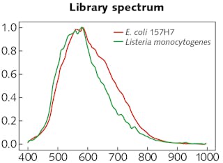 FIGURE 4. Final normalized spectral libraries for E. coli 157:H7 (red) and Listeria monocytogenes (green).