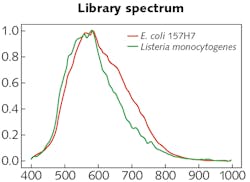 FIGURE 4. Final normalized spectral libraries for E. coli 157:H7 (red) and Listeria monocytogenes (green). FIGURE 4. Final normalized spectral libraries for E. coli 157:H7 (red) and Listeria monocytogenes (green).