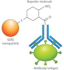 FIGURE 2. Schematic representation of a colloidal SERS nanoparticle functionalized with a NO2 reporter and an antibody targeted for a specific antigen. FIGURE 2. Schematic representation of a colloidal SERS nanoparticle functionalized with a NO2 reporter and an antibody targeted for a specific antigen.