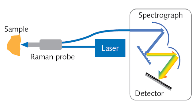 FIGURE 1. The key components of a Raman spectroscopy system are the laser, detector, spectrograph, and probe.