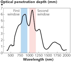 FIGURE 2. Optical windows of Raman spectroscopy in biological tissue. FIGURE 2. Optical windows of Raman spectroscopy in biological tissue.