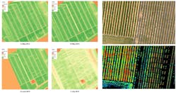 FIGURE 4. Orthophoto hyperspectral aerial images of a strawberry test field in Belgium: NDVI images (left) and chlorophyll index map (right) to support precision agriculture decisions.