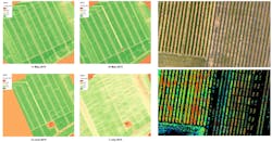 FIGURE 4. Orthophoto hyperspectral aerial images of a strawberry test field in Belgium: NDVI images (left) and chlorophyll index map (right) to support precision agriculture decisions. FIGURE 4. Orthophoto hyperspectral aerial images of a strawberry test field in Belgium: NDVI images (left) and chlorophyll index map (right) to support precision agriculture decisions.