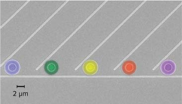 FIGURE 1. A silicon-on-insulator (SOI) microdonut optical-resonator array is demonstrated for on-chip spectroscopy. Each portion of the input spectrum is picked up by an individual resonator. The difference of the outer radii of the fabricated optical resonators is only 1 nm, such that a resolution of 0.6 nm is achieved.