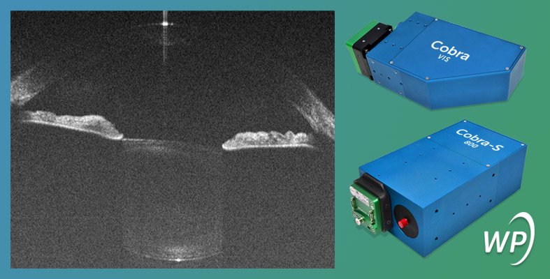 Wp Cobra Oct Expansion Image