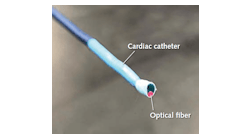 This catheter contains a 1-mm-diameter optical fiber that pipes laser pulses at a 750 nm wavelength to the heart region to perform photoacoustic imaging. The pulses each have an energy of 2.98 mJ at the fiber tip; repetition rate is 600 Hz.