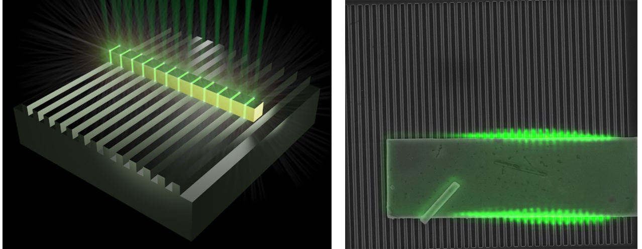 1608 Lfw Nb 1 5f4d59966f10e