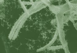 1705 Lfw Nb 4 5f493f74dd303 1705 Lfw Nb 4 5f493f74dd303