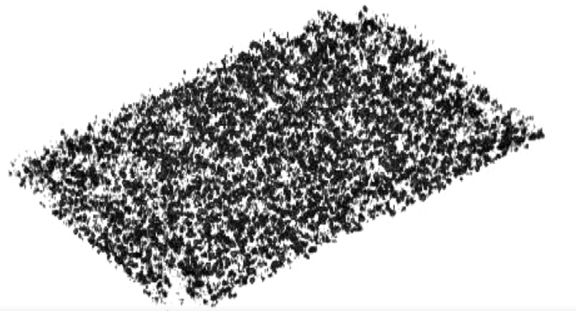 After capturing 3D OCT images of the car paint, the metallic flakes are automatically &apos;extracted&apos; and measured via software algorithms; pictured are the thousands of flakes extracted from a 2.25 &times; 1.4 mm painted car-panel section.