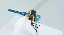FIGURE 1. A prototype cyborg dragonfly carries sensors and a photovoltaic power supply; the addition of optogenetically controlled steering will complete the conversion of this insect into a tiny externally controlled drone that can continually power itself by pausing to eat other insects.