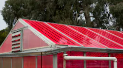 Plants grown in this luminescent solar concentrator (LSC)-equipped greenhouse fared as well or better than plants grown in conventional greenhouses; these LSCs convert about 4% of the sunlight striking them to electricity.