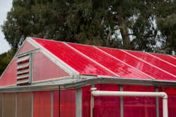 Plants grown in this luminescent solar concentrator (LSC)-equipped greenhouse fared as well or better than plants grown in conventional greenhouses; these LSCs convert about 4% of the sunlight striking them to electricity.