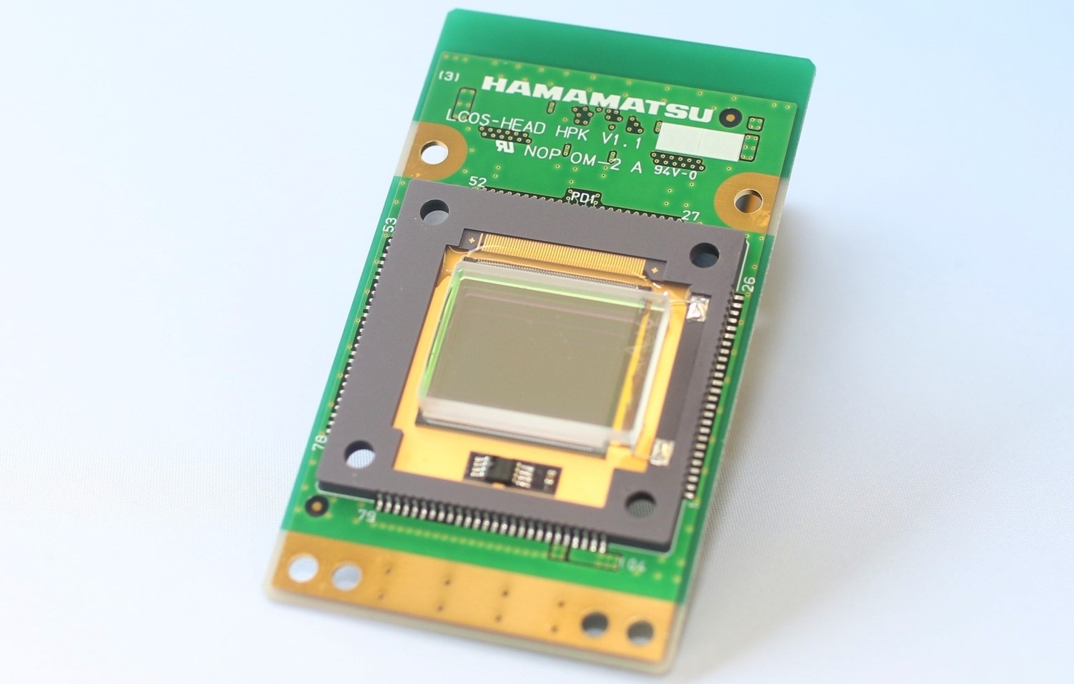 2008 Lfw Nb 2 Cropped