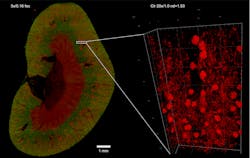 Zeiss 5f3fbf594415f Zeiss 5f3fbf594415f