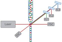 FIGURE 1. This schematic represents a traditional flow cytometer design, including typical fluidic system and illumination laser, along with FSC, SSC, and three-channel fluorescence detection. Many modern flow cytometers use multiple illumination lasers and more than three fluorescence detection channels.