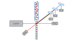 FIGURE 1. This schematic represents a traditional flow cytometer design, including typical fluidic system and illumination laser, along with FSC, SSC, and three-channel fluorescence detection. Many modern flow cytometers use multiple illumination lasers and more than three fluorescence detection channels.