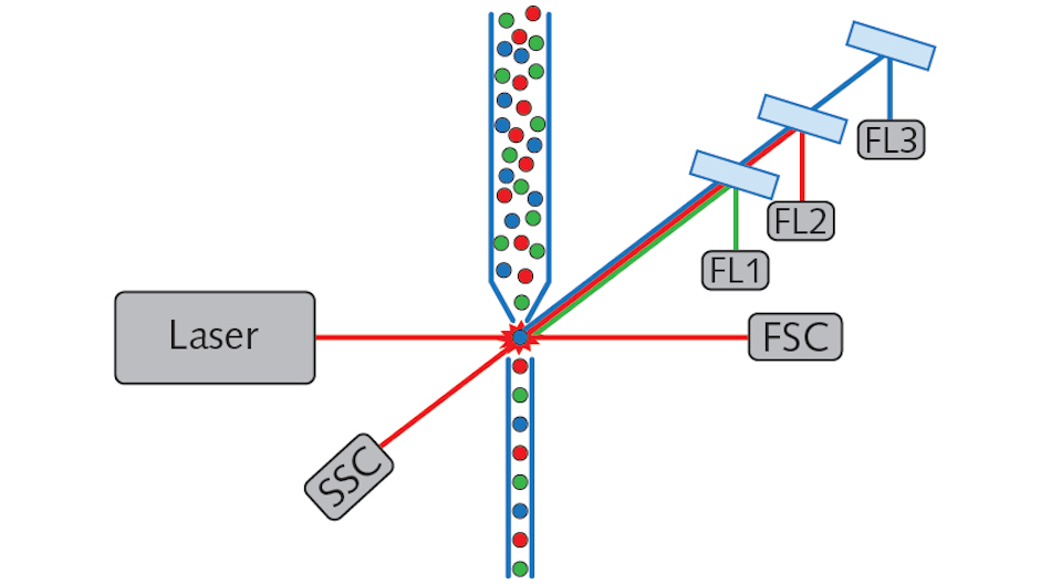 FIGURE 1. This schematic represents a traditional flow cytometer design, including typical fluidic system and illumination laser, along with FSC, SSC, and three-channel fluorescence detection. Many modern flow cytometers use multiple illumination lasers and more than three fluorescence detection channels.