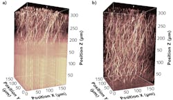 FIGURE 1. Two-photon excited fluorescence images of a 300-µm-thick mouse brain slice stained with Alexa 647, with excitations at 780 nm (a) and 1300 nm (b). Measurements were taken in cooperation with the Max-Planck-Institute of Experimental Medicine (Göttingen, Germany). FIGURE 1. Two-photon excited fluorescence images of a 300-µm-thick mouse brain slice stained with Alexa 647, with excitations at 780 nm (a) and 1300 nm (b). Measurements were taken in cooperation with the Max-Planck-Institute of Experimental Medicine (Göttingen, Germany).