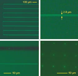FIGURE 4. Microstructures consisting of fluorescent silver nanoclusters were created via a direct laser-writing technique using the FemtoLux laser and observed with a fluorescent microscope. FIGURE 4. Microstructures consisting of fluorescent silver nanoclusters were created via a direct laser-writing technique using the FemtoLux laser and observed with a fluorescent microscope.
