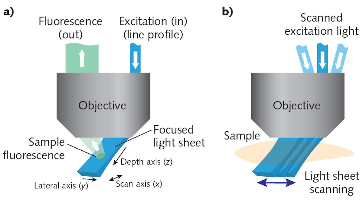 FIGURE 1. In SCAPE, a light sheet is formed at an oblique angle by off-axis illumination of the primary microscope objective with a line profile beam (a); SCAPE builds a volumetric image by scanning the light sheet while capturing a series of images of the illuminated plane (b).