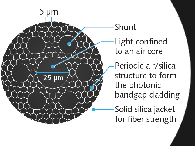 FIGURE 2. The cross-section of a hollow-core fiber showing the core, lattice structure, and shunts.