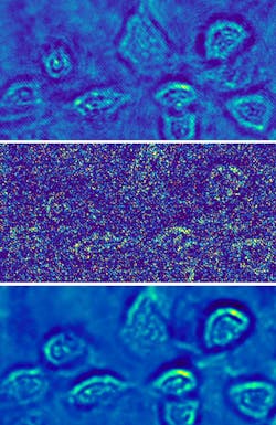 A hologram of fibroblast cells taken at a light intensity substantially above the shot-noise limit has relatively low noise (top). A shot-noise-limited hologram of the fibroblast cells has obvious high noise (center). A Holo-UNet-restored shot-noise-limited hologram has an image quality comparable to the hologram taken at a high intensity. These images are stills from an ANU video that can be found at https://youtu.be/nNkcdZsveHQ. A hologram of fibroblast cells taken at a light intensity substantially above the shot-noise limit has relatively low noise (top). A shot-noise-limited hologram of the fibroblast cells has obvious high noise (center). A Holo-UNet-restored shot-noise-limited hologram has an image quality comparable to the hologram taken at a high intensity. These images are stills from an ANU video that can be found at https://youtu.be/nNkcdZsveHQ.