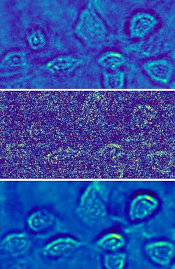 A hologram of fibroblast cells taken at a light intensity substantially above the shot-noise limit has relatively low noise (top). A shot-noise-limited hologram of the fibroblast cells has obvious high noise (center). A Holo-UNet-restored shot-noise-limited hologram has an image quality comparable to the hologram taken at a high intensity. These images are stills from an ANU video that can be found at https://youtu.be/nNkcdZsveHQ.