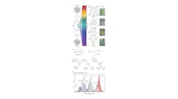 FIGURE 1. Visible light curing, with the general mechanism (oxidative quenching) for a three-component system (left) and chemical structures of photoinitiator (PI) and photoredox catalysts (PRCs), and corresponding pictures of photocured films with qualitative gel times (right) all shown (a). Chemical structures of iodonium acceptor (A) and borate donor (D) coinitiators (b); chemical structures of opaquing agents (OAs) (c); and photons absorbed vs. wavelength for PI and PRC compounds at optimal photocuring concentration (d) are also shown. OA at 0.5 mM (red) and 1 mM (green, blue, and violet). Light exposure was from calibrated violet (405 nm), blue (460 nm), green (525 nm), and red (615 nm) LEDs at the DLP 3D printer image plane.