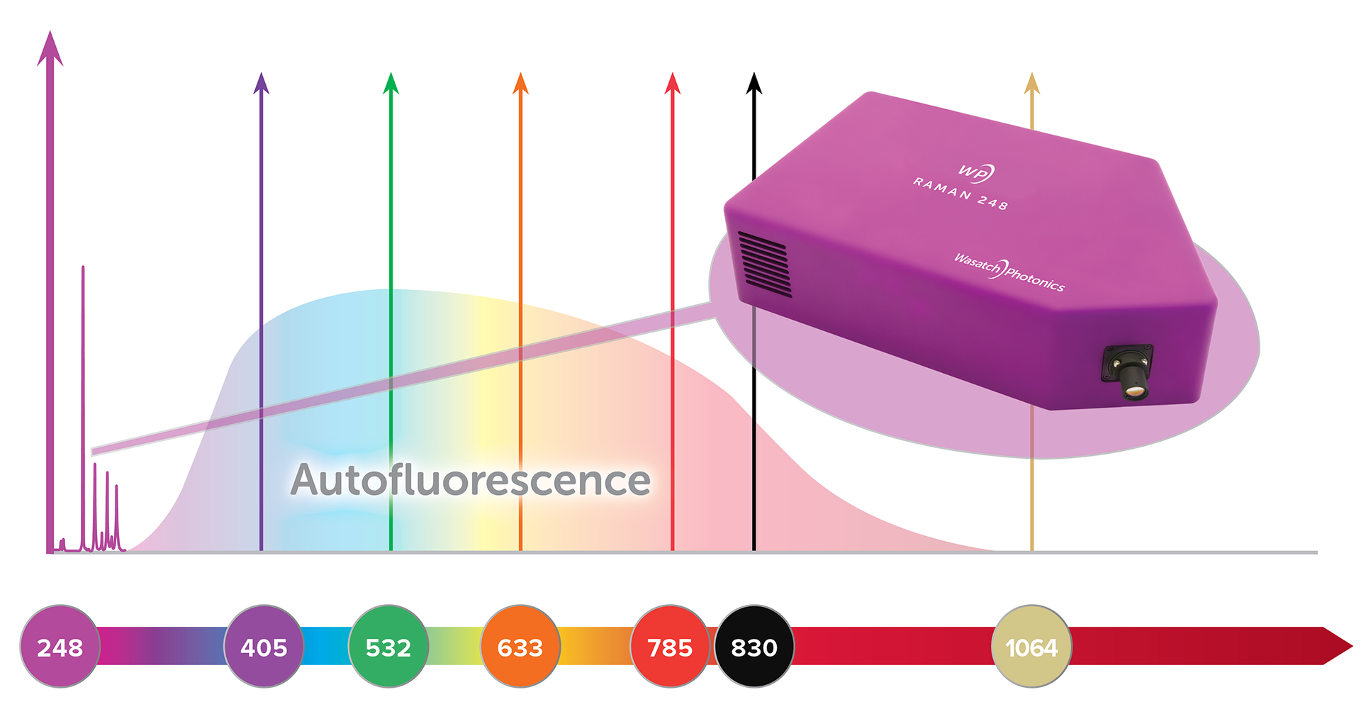 Wasatch Photonics UV Raman Spectrometer Has Free-space Input | Laser ...