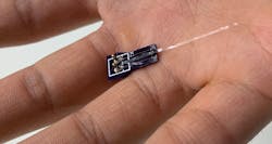 A Parylene C photonic waveguide is held in the hand for scale. A Parylene C photonic waveguide is held in the hand for scale.