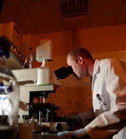 FIGURE 1. Commercial multiphoton microscope with the scan head attached to a conventional upright fluorescence microscope. The upright is the preferred option for in vivo imaging, frequently with the use of water immersion lenses. FIGURE 1. Commercial multiphoton microscope with the scan head attached to a conventional upright fluorescence microscope. The upright is the preferred option for in vivo imaging, frequently with the use of water immersion lenses.